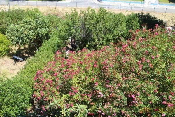 Boa Vivenda Villa Carcavelos  Kültér fotó